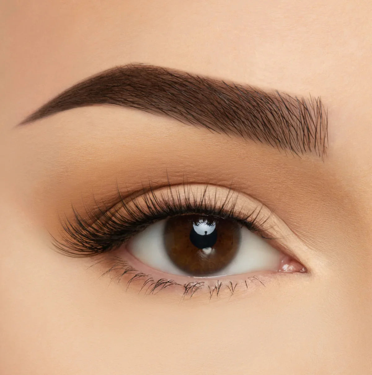 Pestañas Paris Beauty Creations