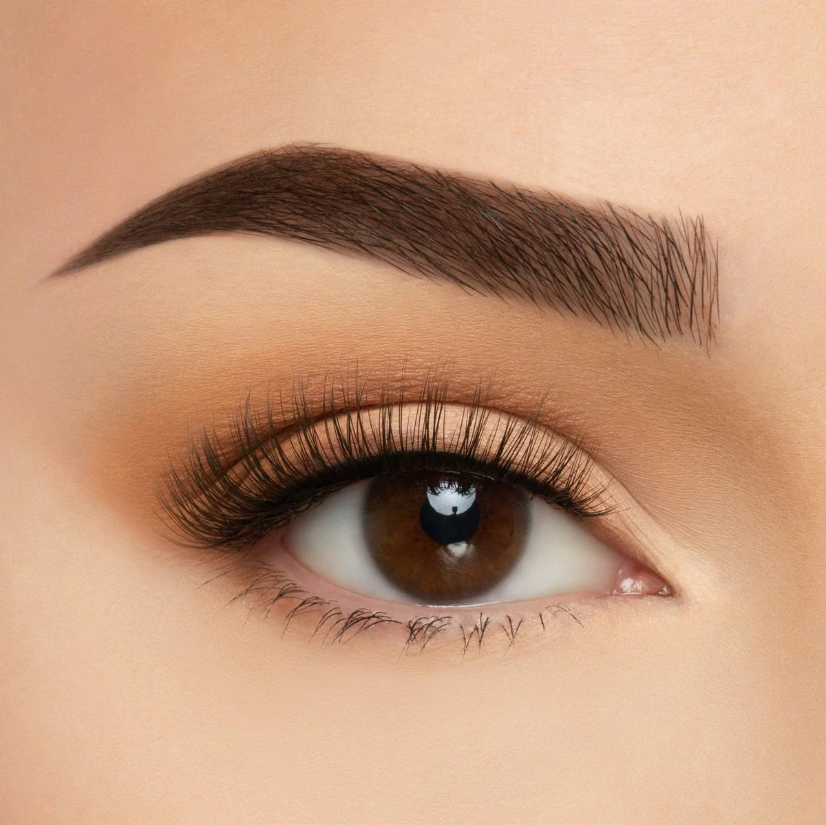 Pestañas Los Angeles Beauty Creations